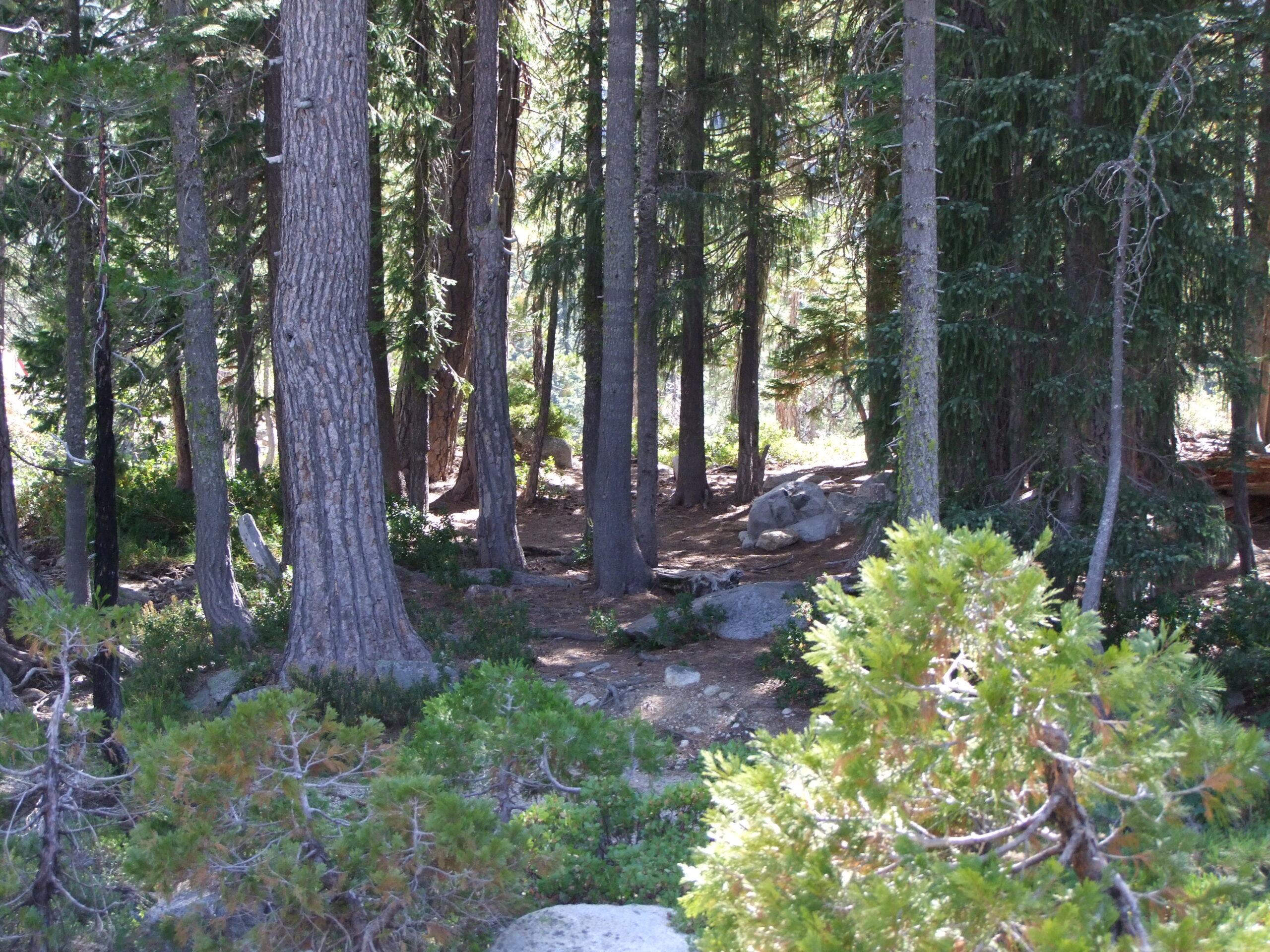 Canyon Creek Lakes Trip 027